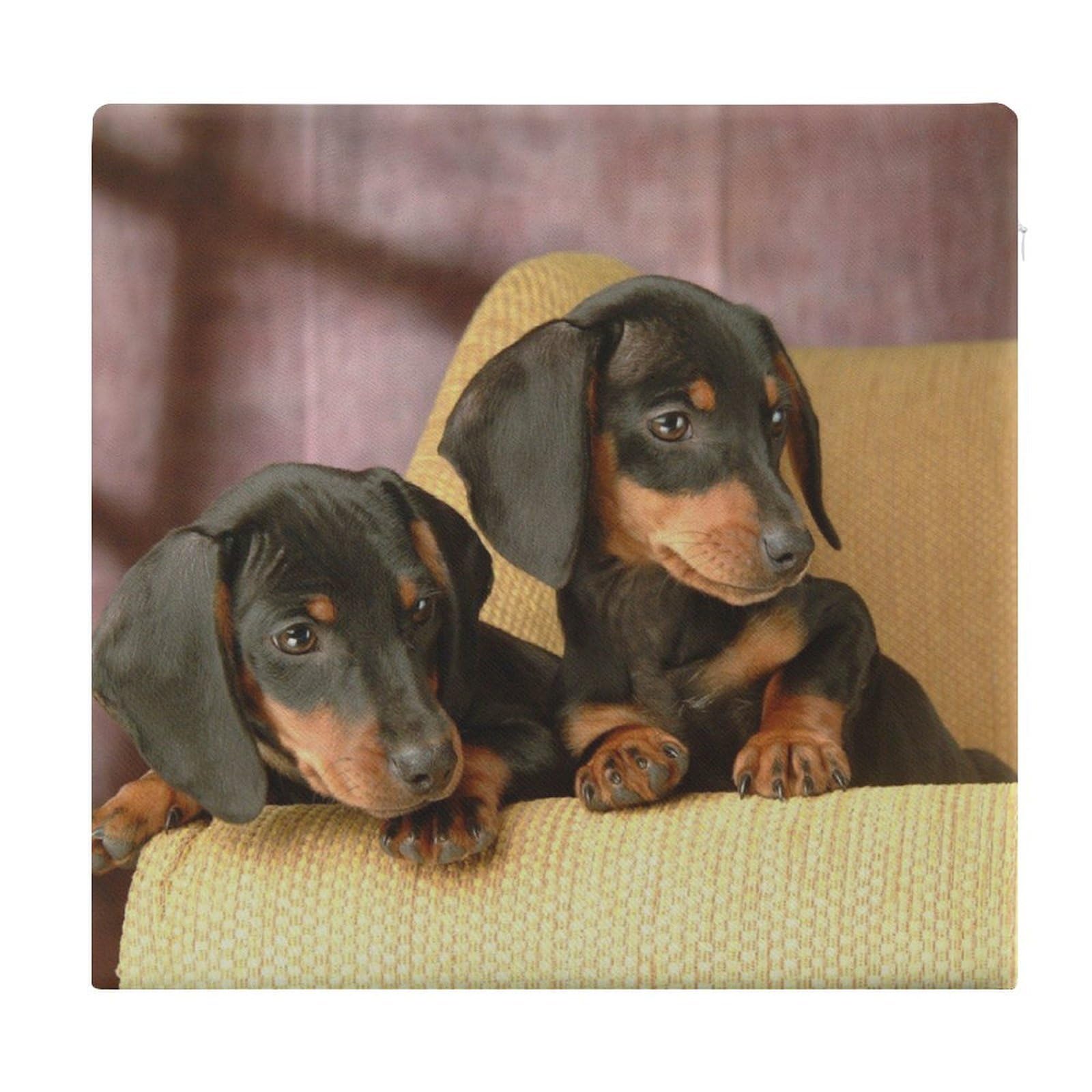 JZemdybill Chair Pad, Cute Dachshund Seat Pad, Square Chair Cushion for Yoga Living Room Balcony