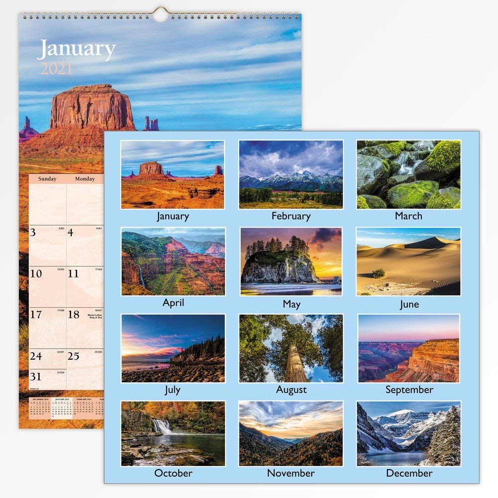Calendario da parete 2021 di AT-A-GLANCE, 39 x 56 cm, grande, mensile, panoramico (DMW2012821)