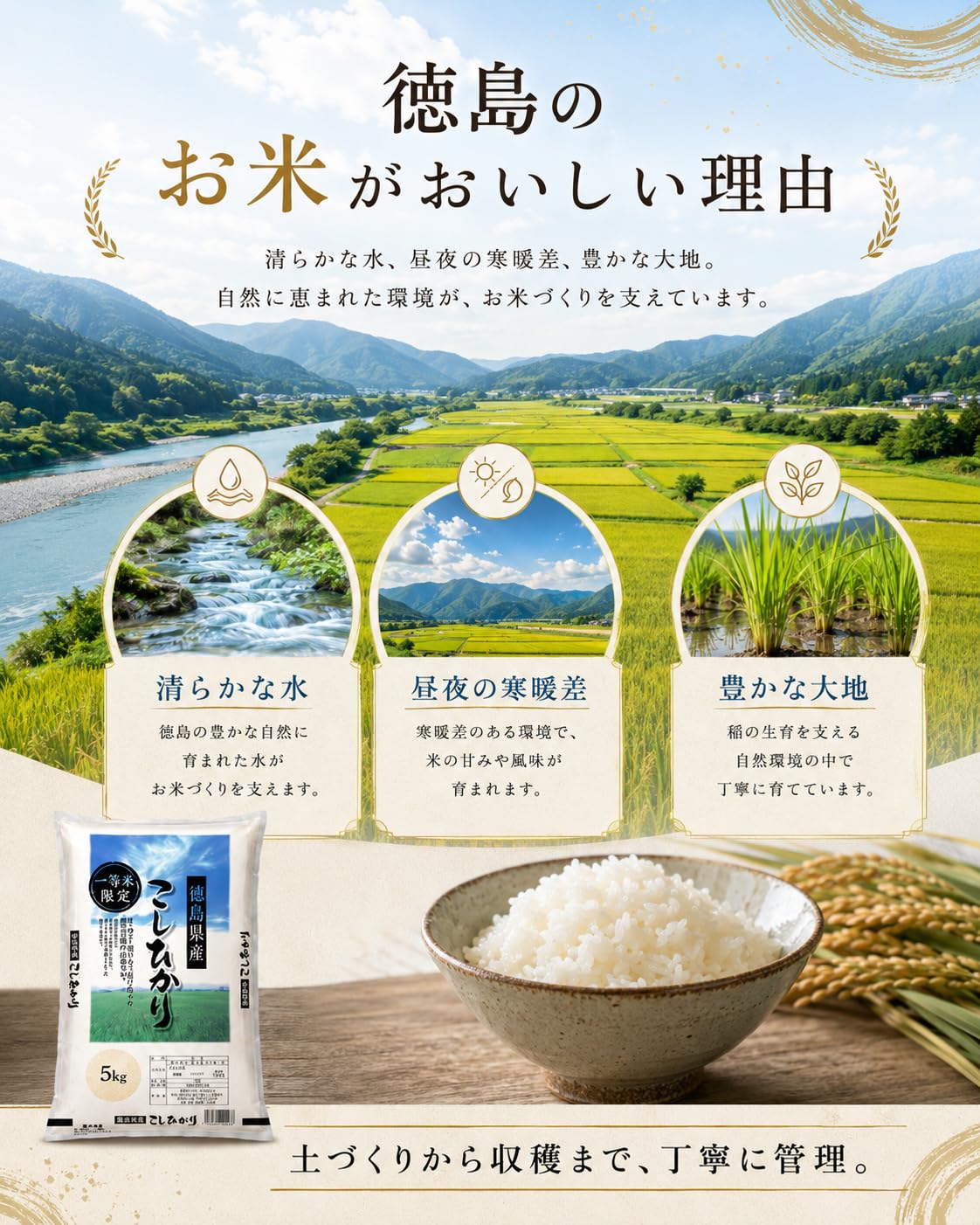 Amazon.co.jp: 【令和8年産】 新米 5kg 徳島県産 コシヒカリ 白米 一等
