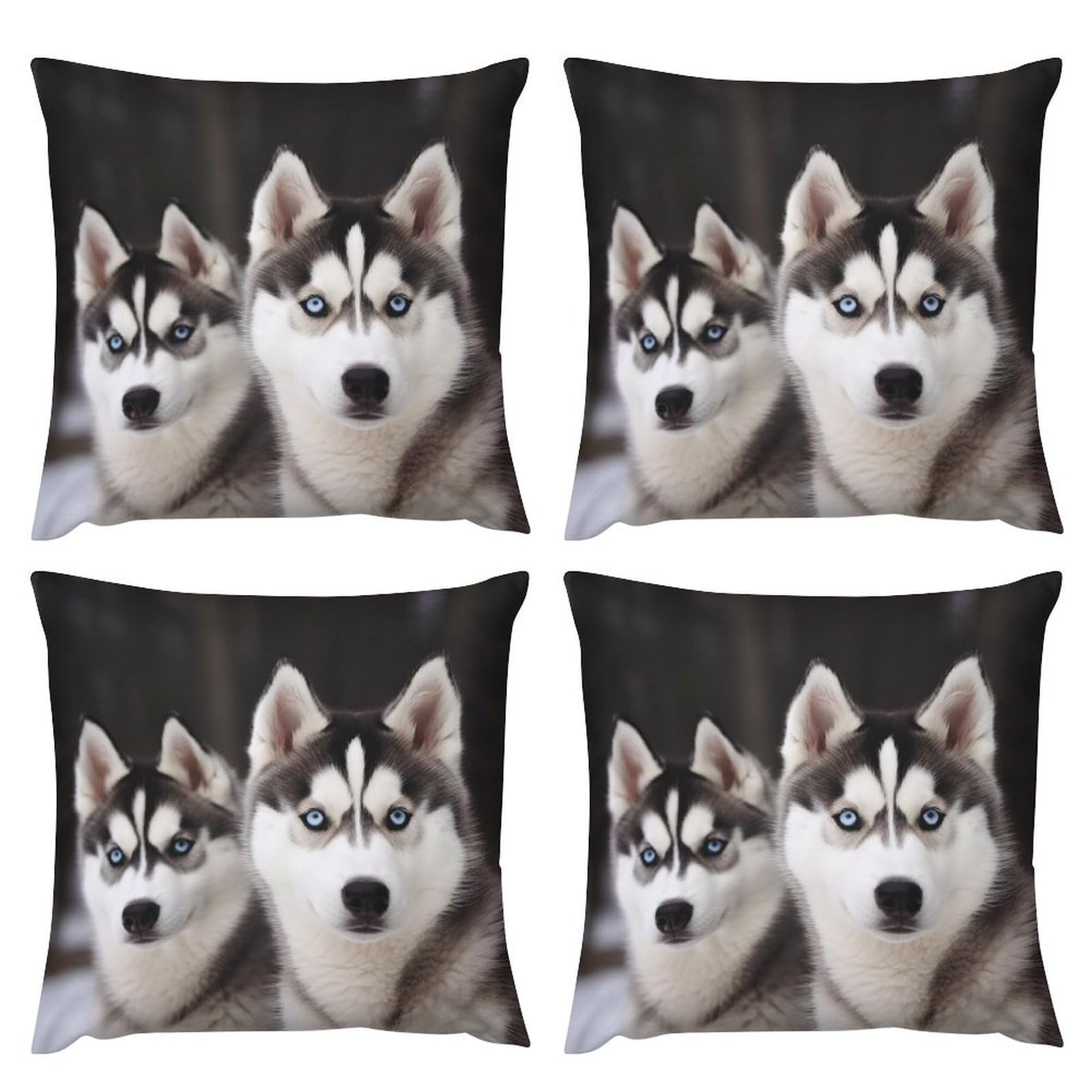 Housse de coussin husky en peluche carrée pour cocooner sur le canapé du salon
