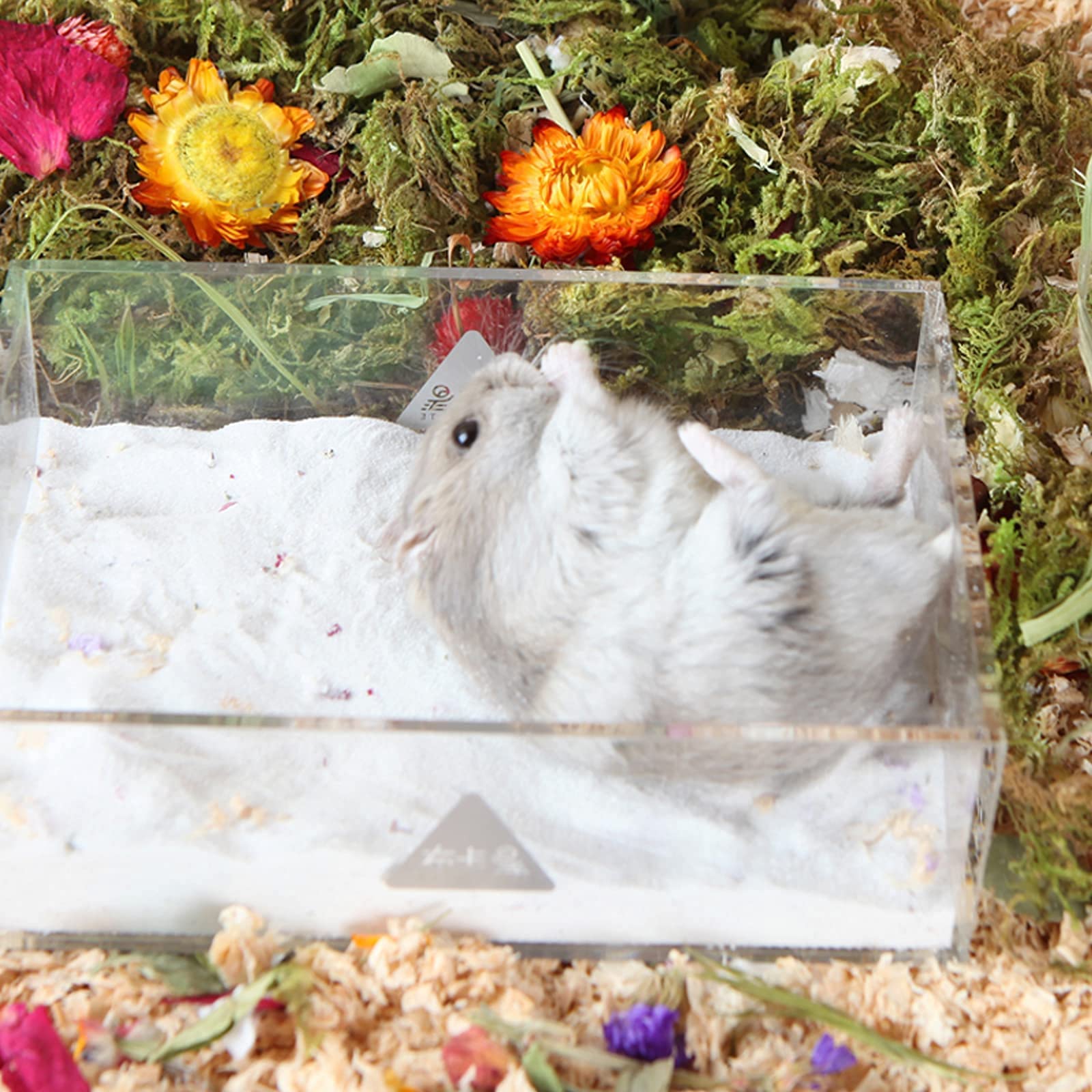 BUCATSTATE Sable de hamster avec bec verseur, 3 kg de sable de chinchilla naturel, sable de bain du désert sans poussière, sable à litière pour hamster gerbille (parfum végétal)