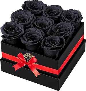 Forever Flowers for Delivery Prime - 9pcs Preserved Fresh Roses, Genuine Roses That Last for Years, for Birthday Gifts for Women, Valentines Day, and Mother's Day (Black)