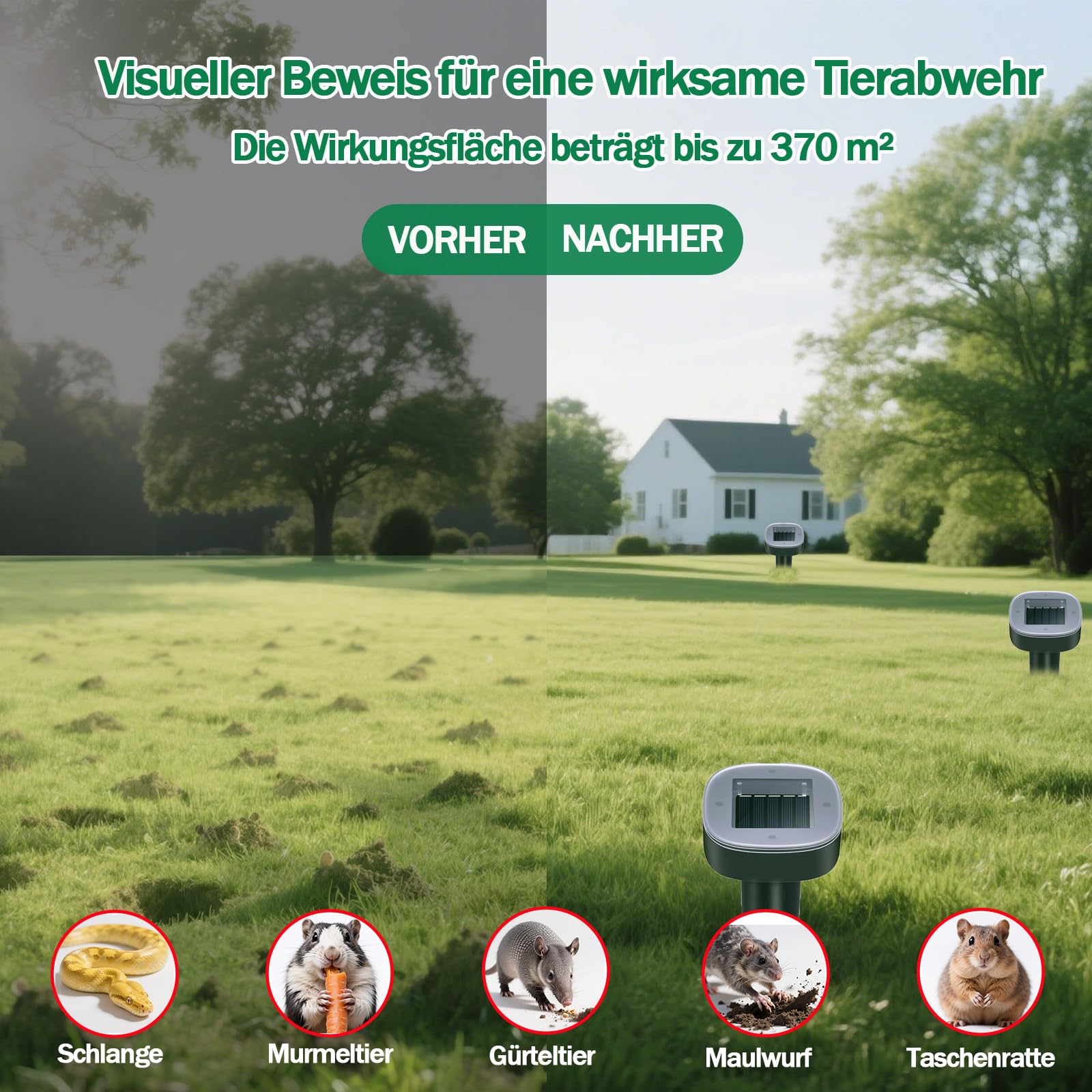 Maulwurf Vertreiber–Maulwurfschreck solar Testsieger, IP65 Geeignet zur Vertreibung von Maulwürfe und Anderen Nagetieren in Gärten Rasen (Runden 6 Pack)