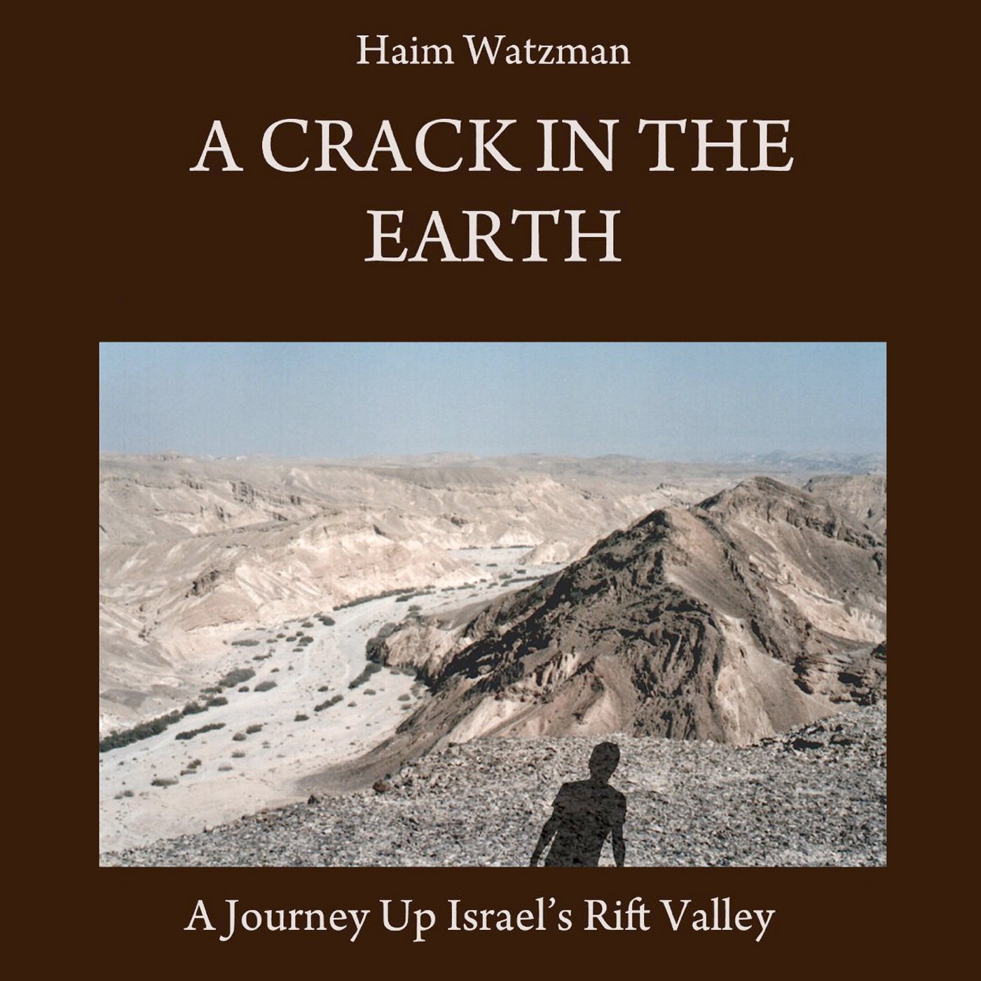 Cover art for A Crack in the Earth
