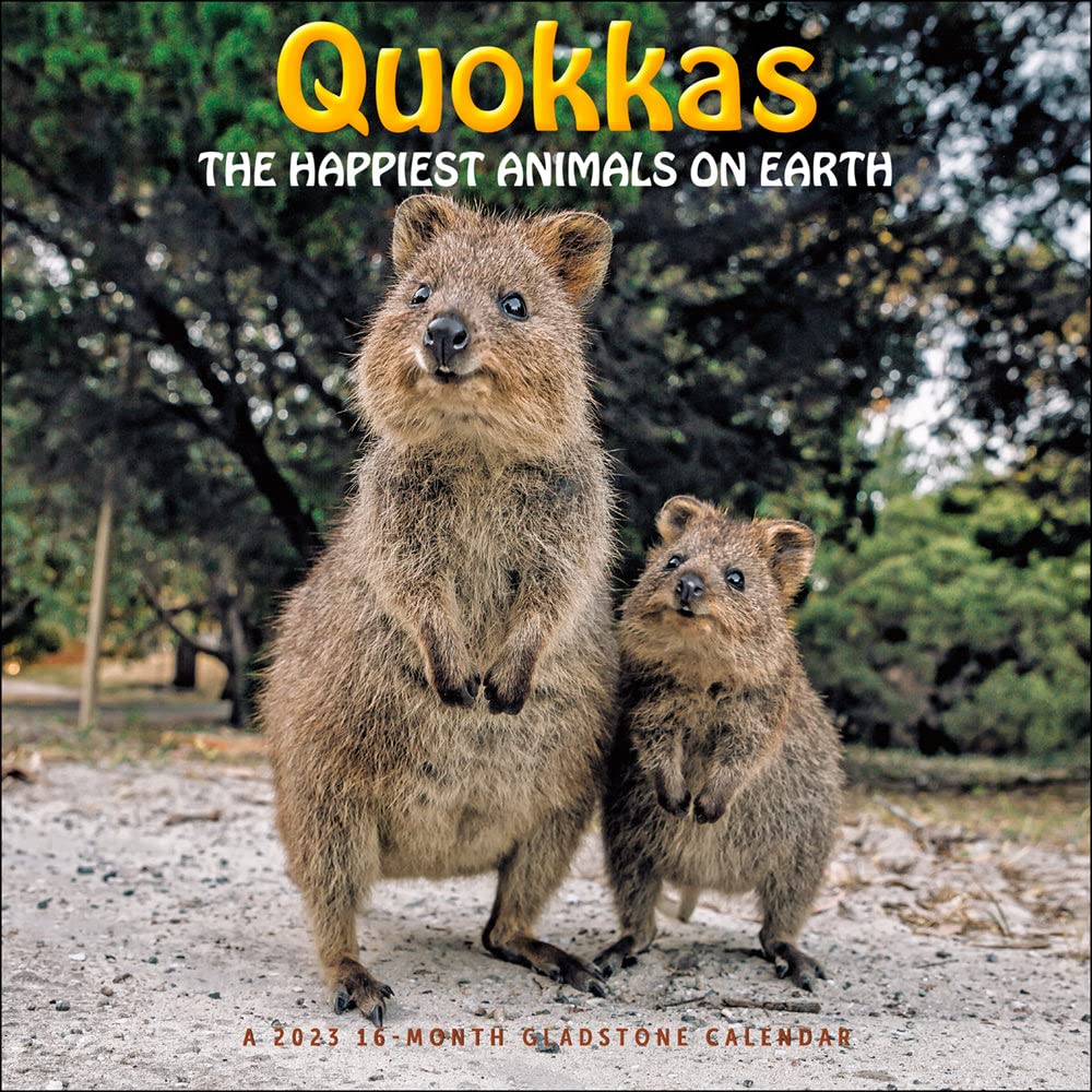 Amazon.com: Quokkas: The Happiest Animals on Earth 2023 Calendar : Office  Products