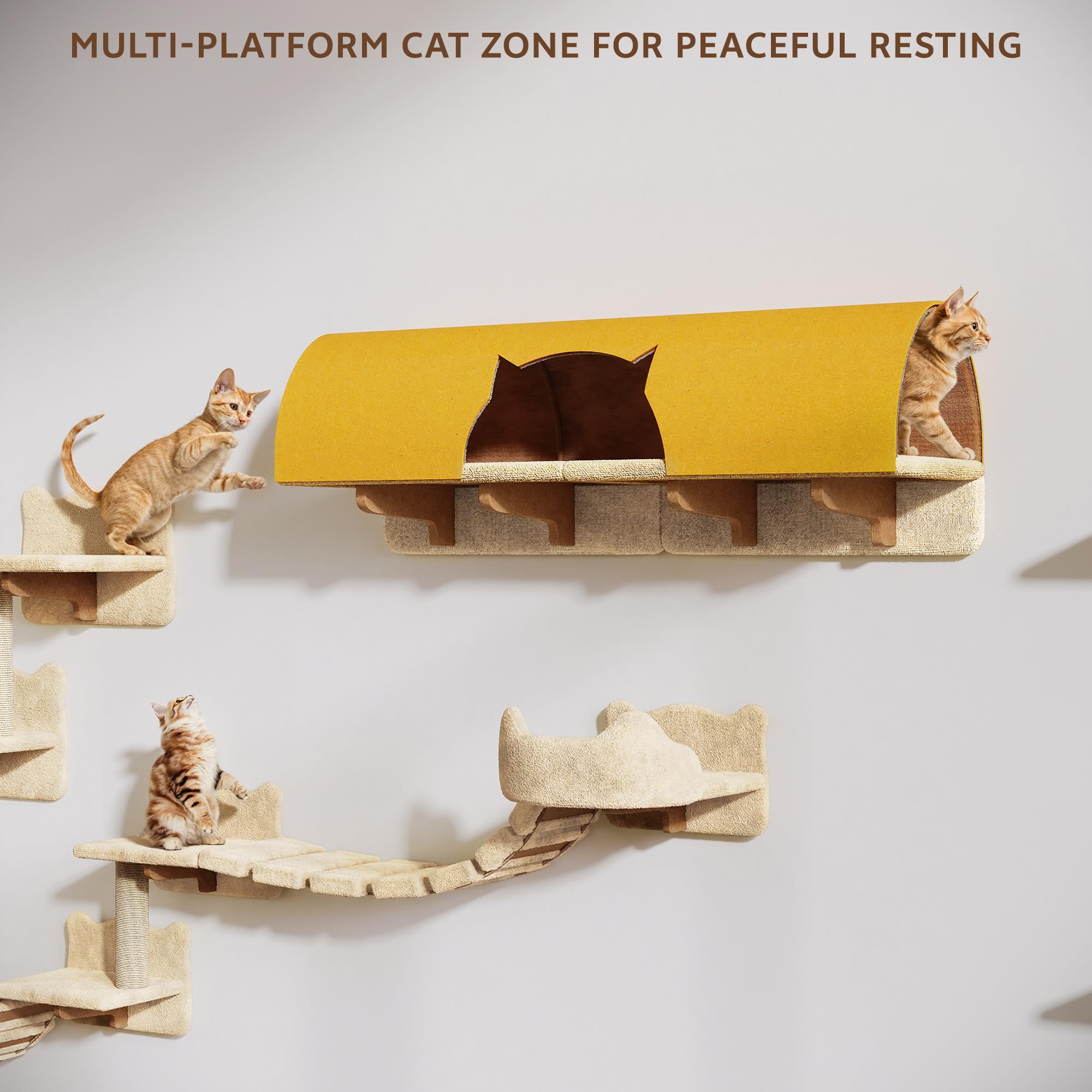 Cats resting and playing on the multi-platform cat zone, including a tunnel, highlighting peaceful resting areas.