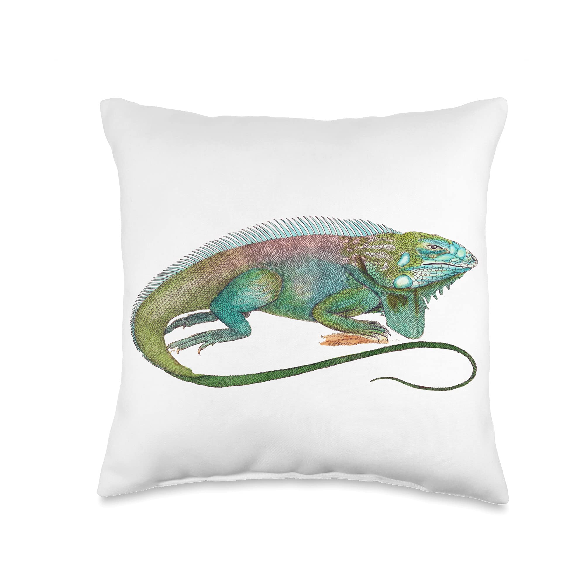 5 avery squishmallow