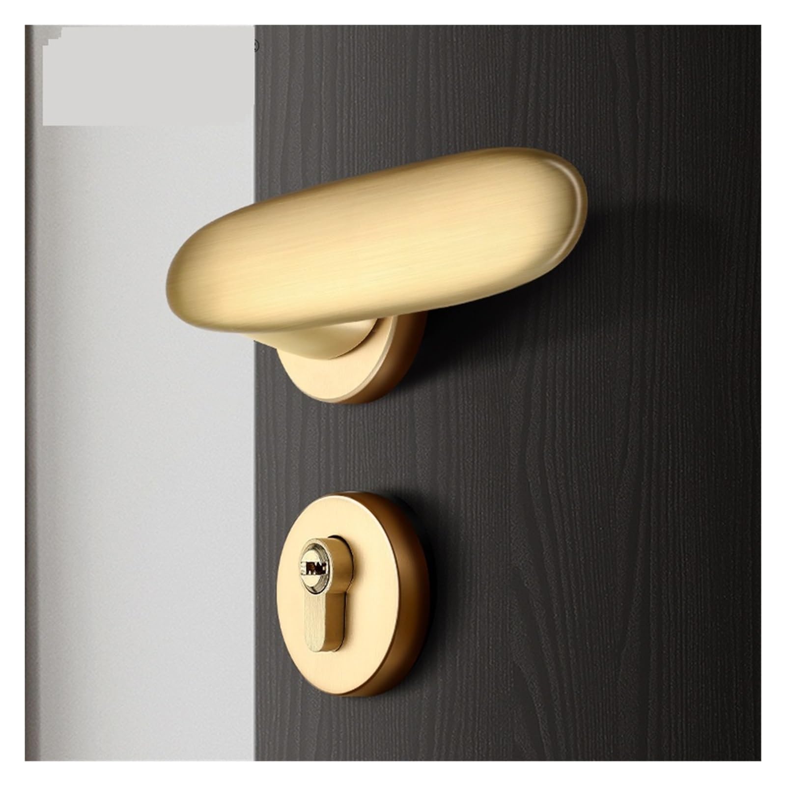 Serrure de porte intérieure de luxe magnétique noire et Copper Drawing