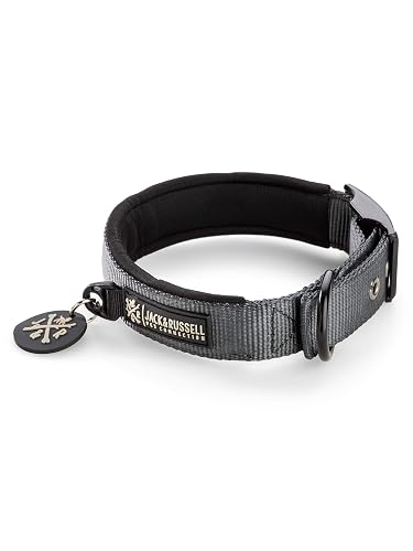 Jack & Russell Collar de Perro Premium MAX con Tachuelas - Acolchado de Neopreno