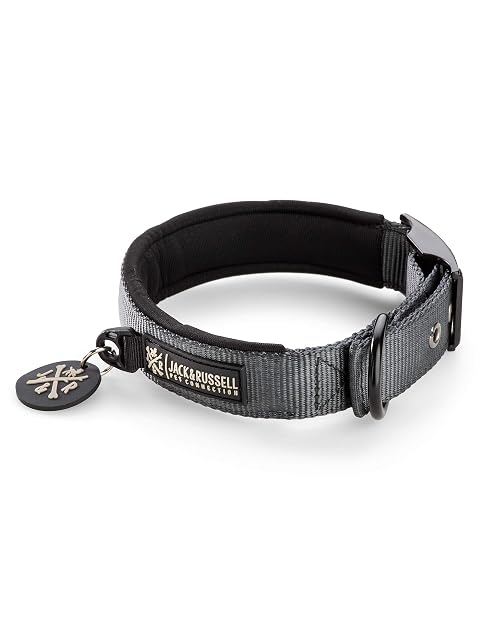 Jack & Russell Collar de Perro Premium MAX con Tachuelas - Acolchado de Neopreno