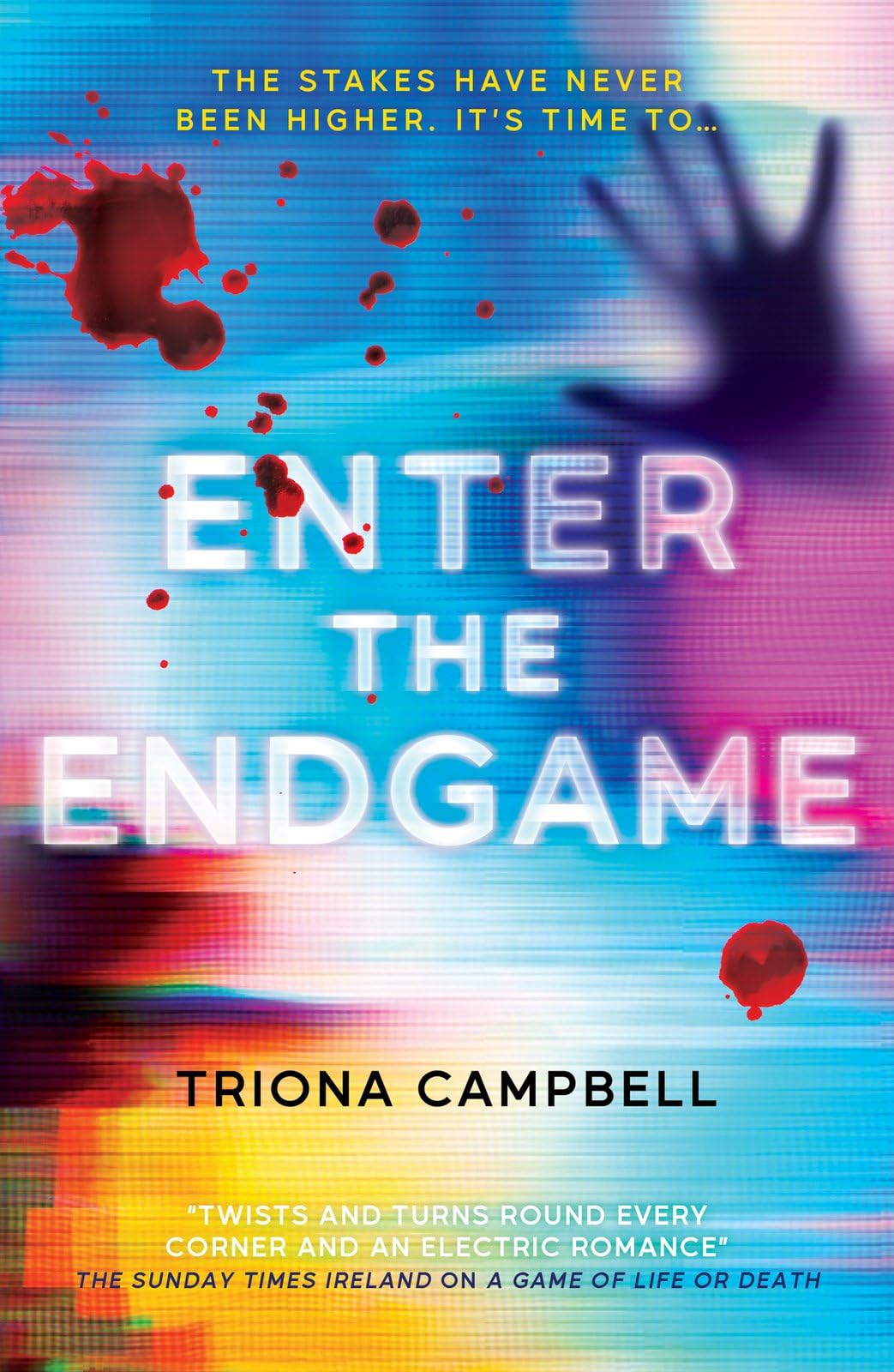 Enter the Endgame by Triona Campbell (Paperback Book)