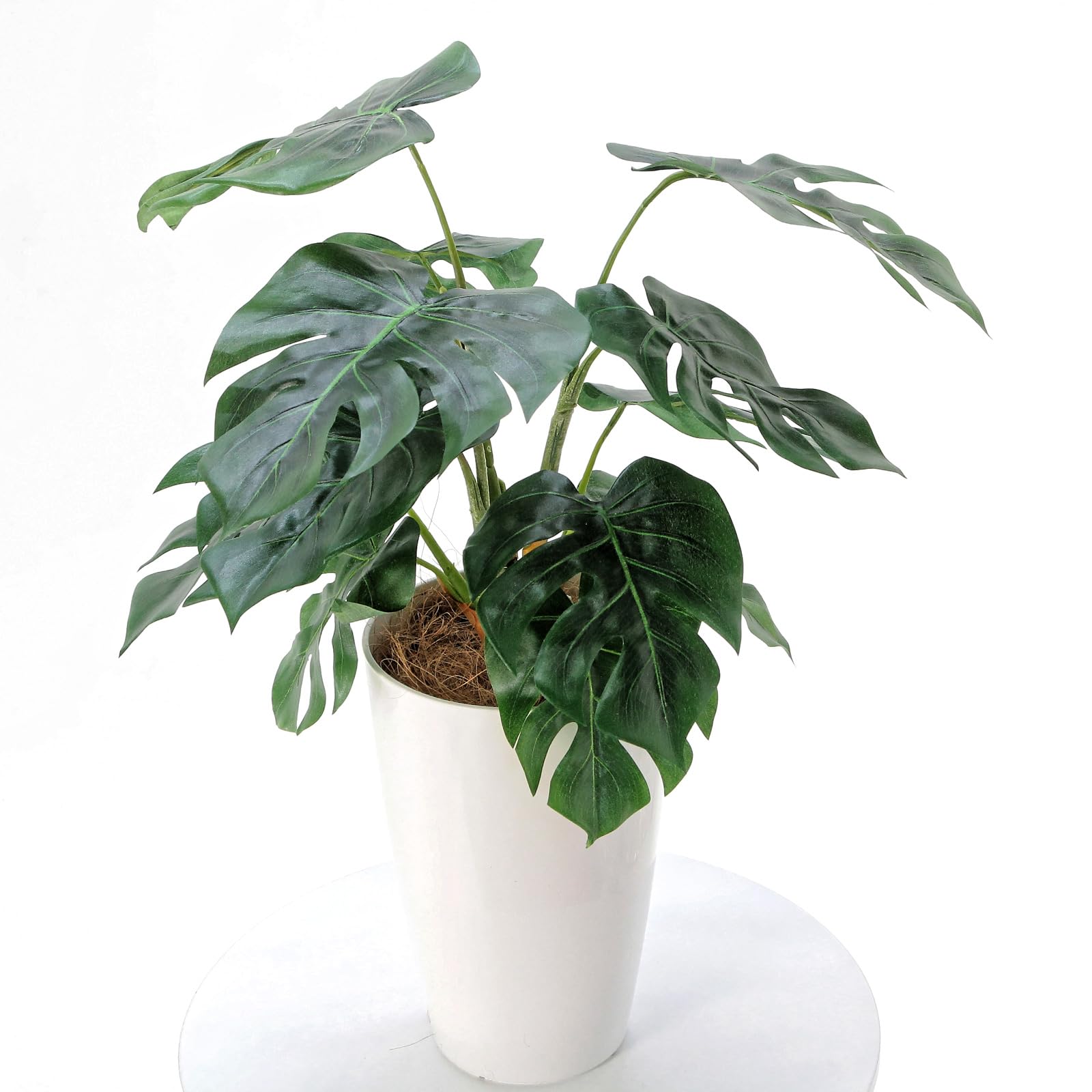 造花ドットコム　観葉植物　フェイクグリーン No8440 プレミアム光触媒フェイクグリーン 「大きな葉が魅せる