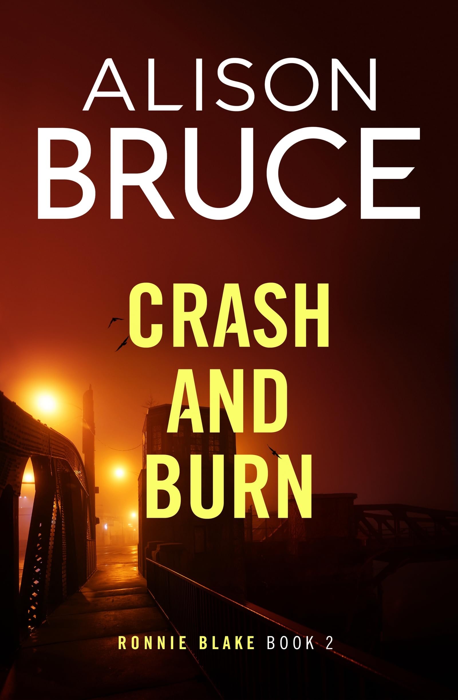 Crash and Burn: A thrilling detective novel set in Cambridge (Ronnie Blake)