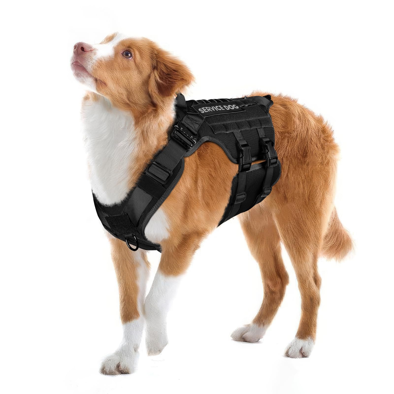 Service Dog Vest PETNANNY Tactical Dog Harness Service Dog
