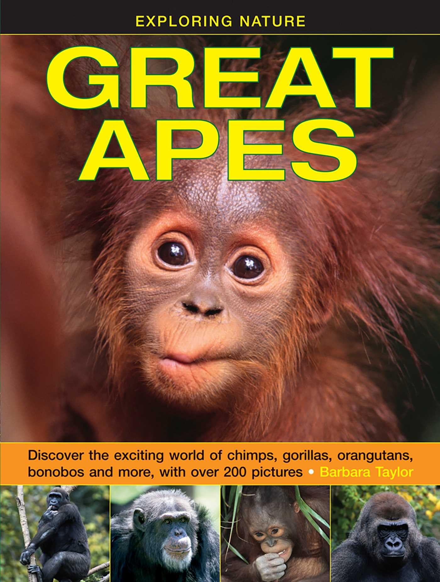 Exploring Nature: Great Apes: Discover the Exciting World of Chimps, Gorillas, Orangutans, Bonobos and More, with over 200 Pictures