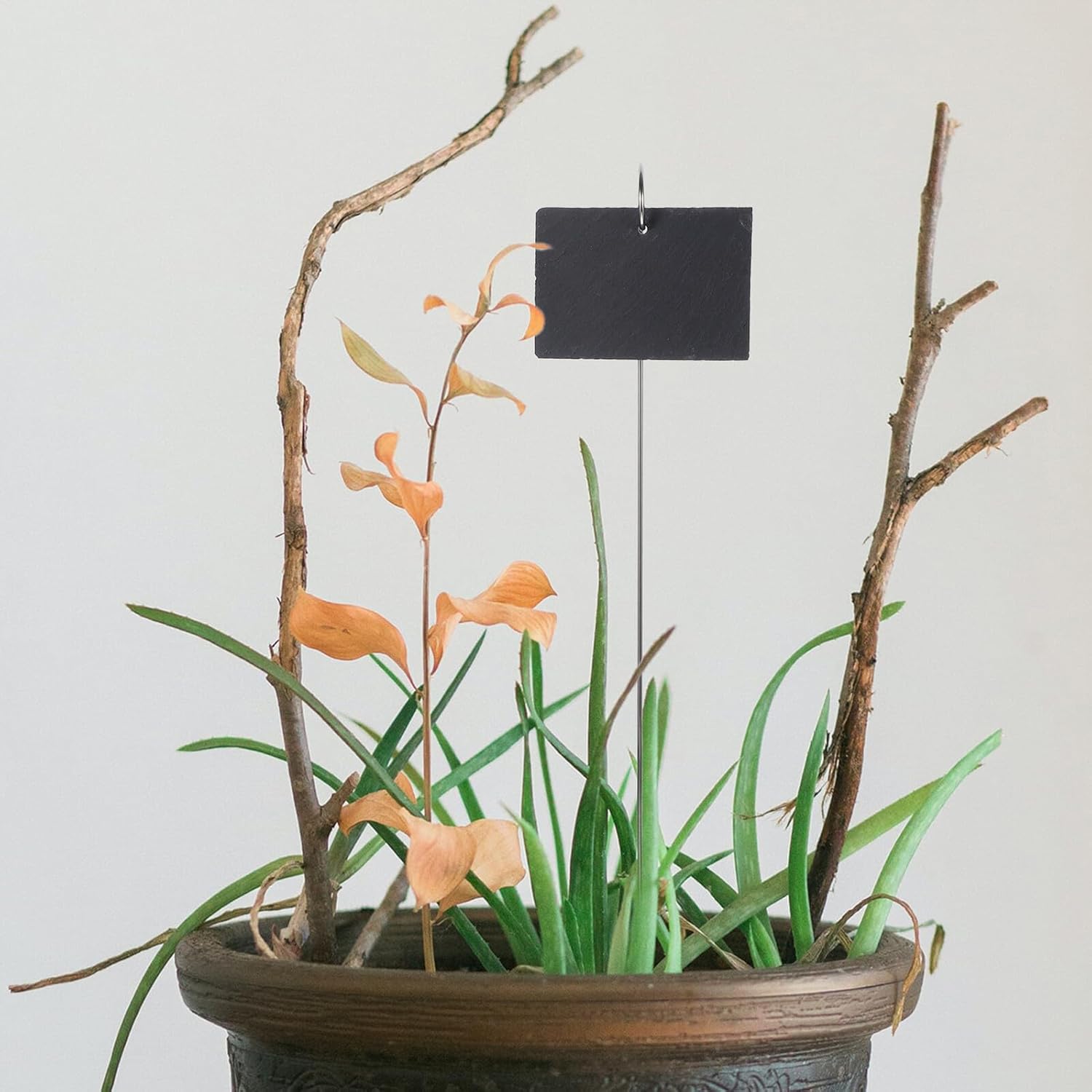 22pcs Slate and Stainless Steel Plant Labels Set with Chalk Markers for Garden and Potted Plants Reusable Succulent and Herb Tags for Outdoor Identification