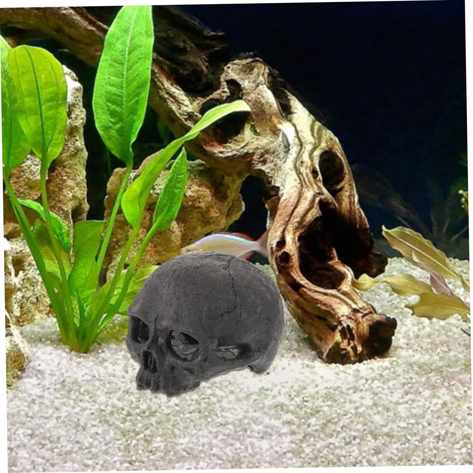 Alipis 5 Pezzi Decorazione con Resina per Terrario Soprammobile Halloween Realistico Accessorio per Rettili e Resistente all