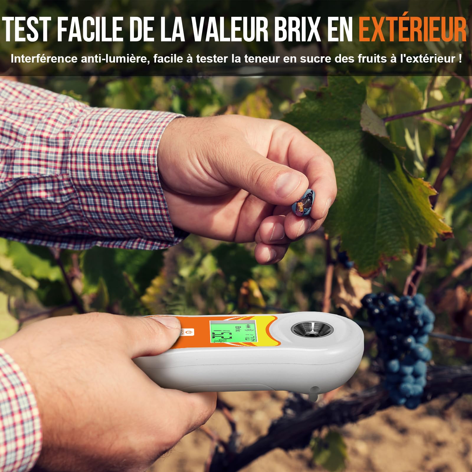 YINMIK Réfractomètre Brix, Testeur Numérique Brix (0-60%) | Thermomètre à Sucre avec ATC, Brix Portable pour Fruits, Brassage de Vin et de Bière, Café, Jus, Aliments, Légumes