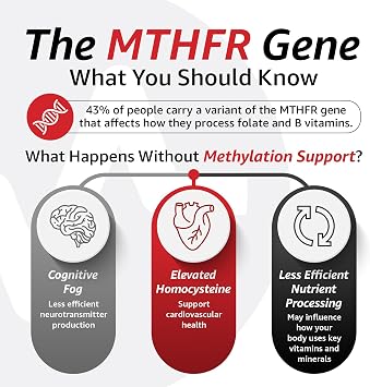 10X Health Methylated Multivitamin - 90 Capsules | Mthfr Supplement: 34-in-1 Formula, 800mcg B12, 5-MTHF & NAC, Methyl B Complex, Non-GMO