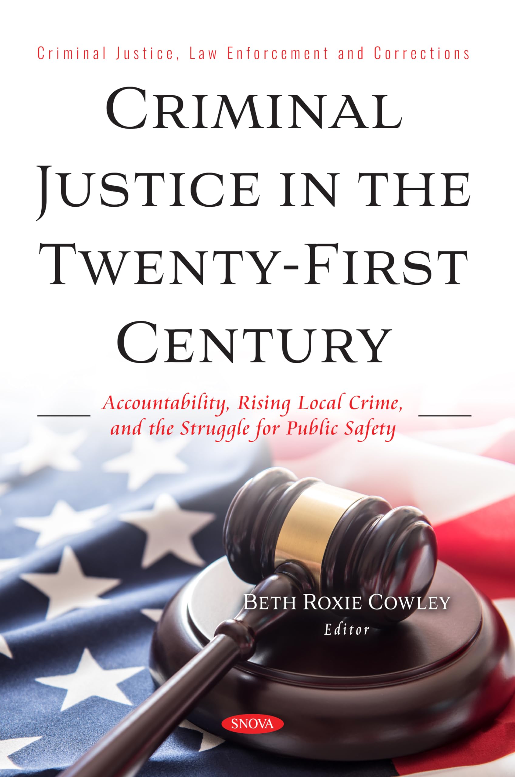 Criminal Justice in the Twenty-First Century: Accountability, Rising Local Crime, and the Struggle for Public Safety (Criminal Justice, Law Enforcement and Corrections)