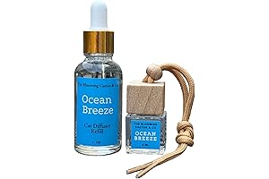 The Blooming Cactus & Co. - Sent Defusing Ocean Breeze Car Diffuser