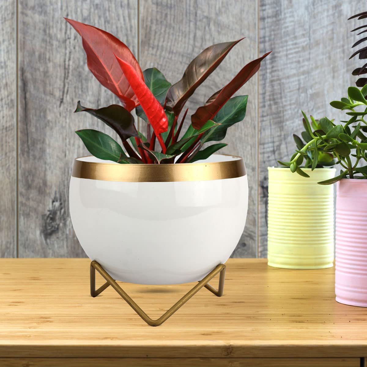 Urban Plant Indoor Metal Planter/Trending Pots/Unique Designer Flower