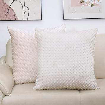 2 Packs Throw Pillow Covers, Neutral Decorative Couch Pillow Cover for Living Room Bed Sofa Rustic Farmhouse Boho Home Decor, Soft Plush Cushion Case Slipcover Beige, 26"x 26"