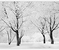 Vista 18 de artgeist Mural de Pared Forestal 154x122 pulg - Adhesivo de Pared Autoadhesivo para Despegar y Pegar, Adhesivo de Pared, Adhesivo de Foto