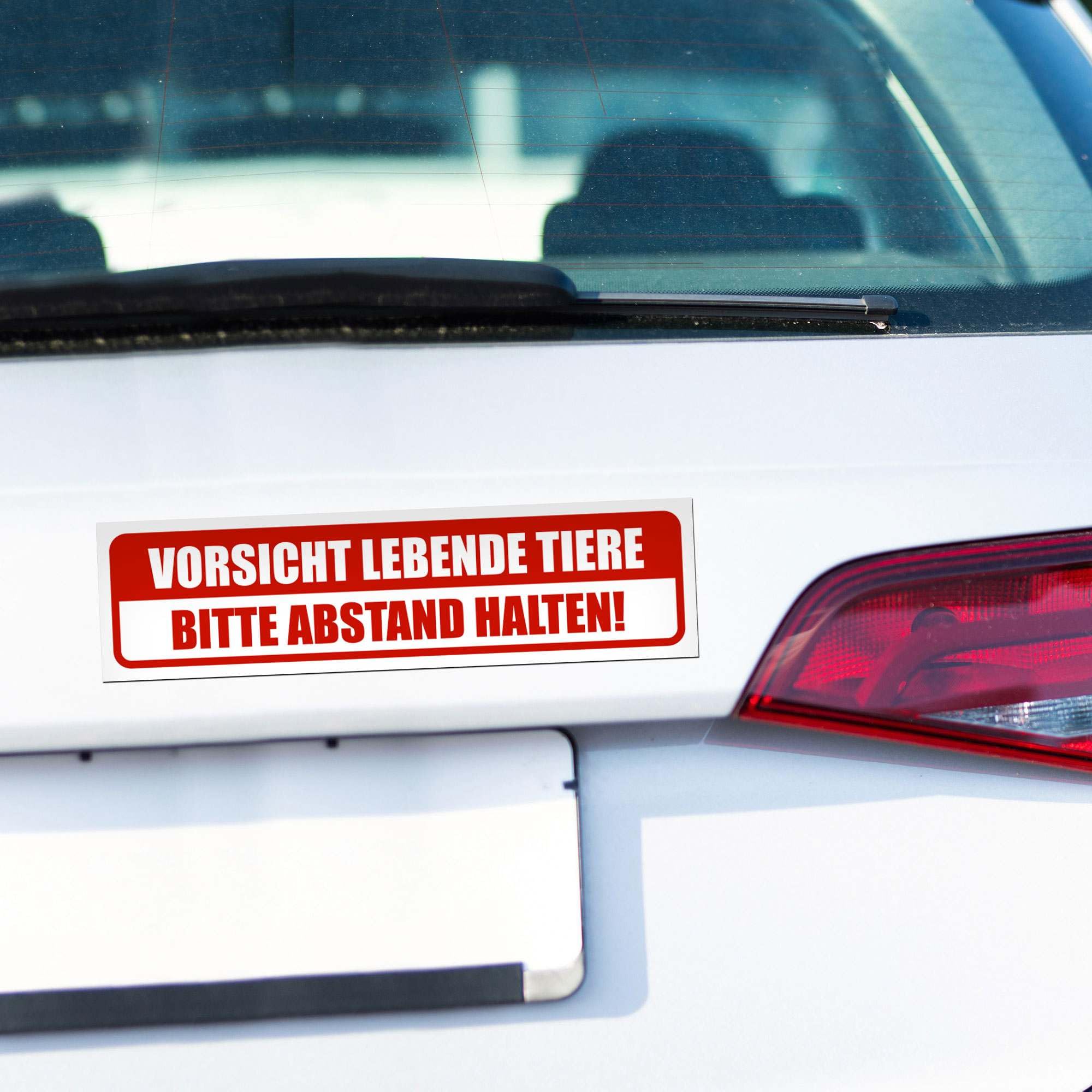 Magnetschild Lebende Tiere Auto Abstand Tiertransport Magnetfolie Wetterfest Magnetisch 45 x 12 cm Reflektierend