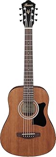 6 String Acoustic Guitar, Right (V44MINIOPN)
