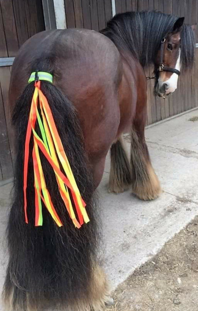 Horse and Rider Safety The Wiz-Viz Ponytail High Visibility Fluorescent - You Will Be Seen, So Be Safe - Hi-Viz