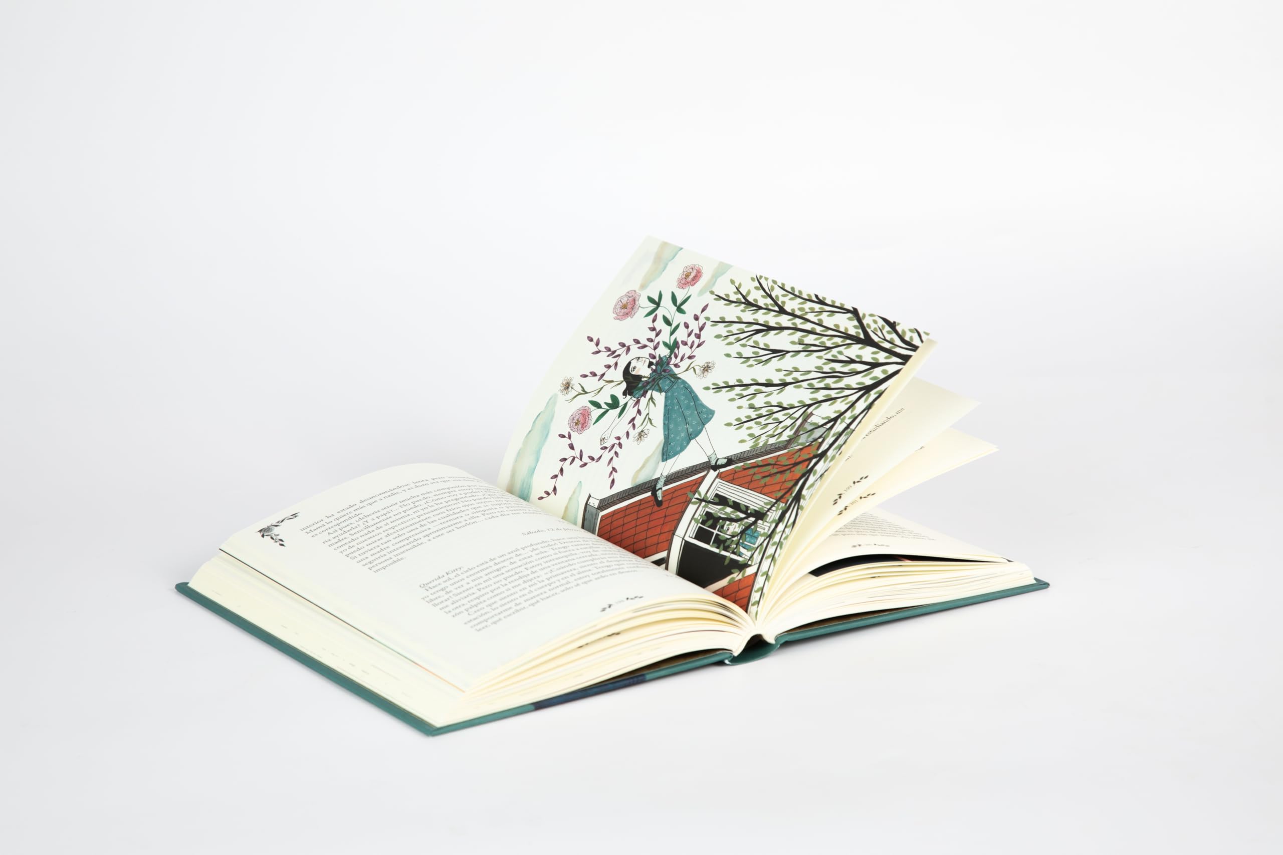 Diario de Anne Frank (edición ilustrada) (Lumen Gráfica)