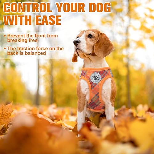 Miniatura 148 de BEAUTYZOO Juego de arnés y correa para perro, arnés reflectante para perro, sin tirones, sin estrangulamiento, para perros pequeños, medianos