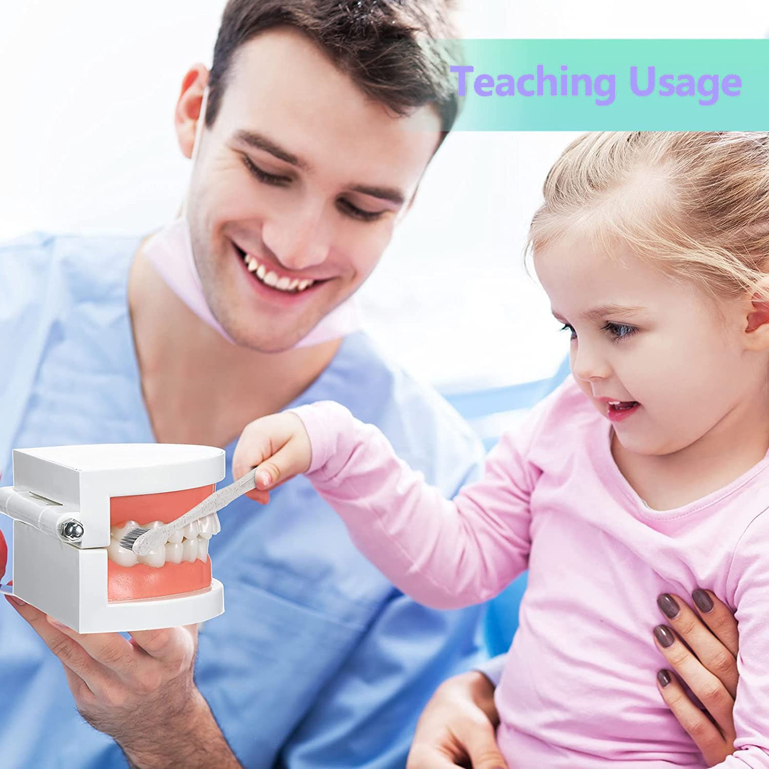 Modelo Dental de Demostración Estándar PVC para Adultos Niños Enseñanza Dental Cuidado Bucal con 2 Cepillo de Dientes