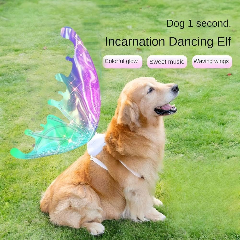 Ali di farfalla a LED per cani, ali incandescenti con luci a LED e musica, elfo con musica per bambini, ali luminose