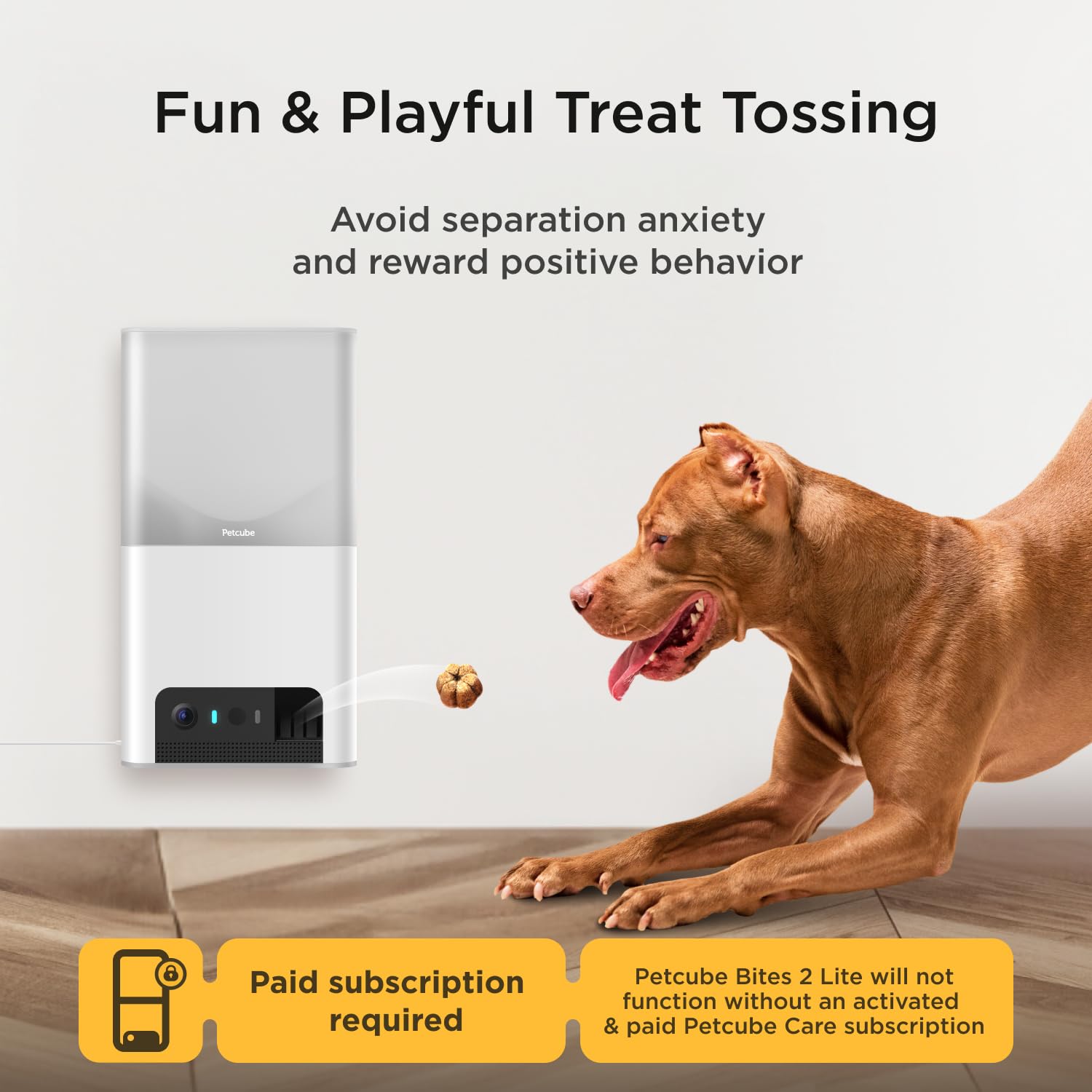 Petcube Bites 2 Lite And Care Coverage Subscription