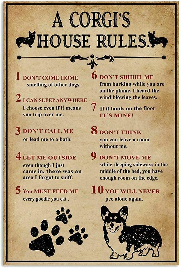 rayprint Vintage Metal Signs A Corgi House Rules Retro Poster Vintage Aluminum Sign for Home Coffee Country Garden Farmhouse Wall Art Decor Plaque 8x12 Inch