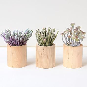 ANGELLOONG Succulents Plants Artificial, Faux Succulents in Pots, Realistic Fake Succulents for Home Office Living Room Bedroom Bathroom Decor, Set of 3