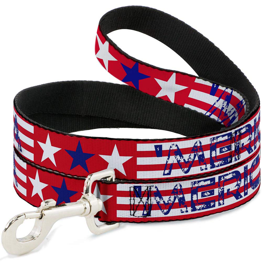 Laisse pour chien Buckle-Down à motif rayures et étoiles