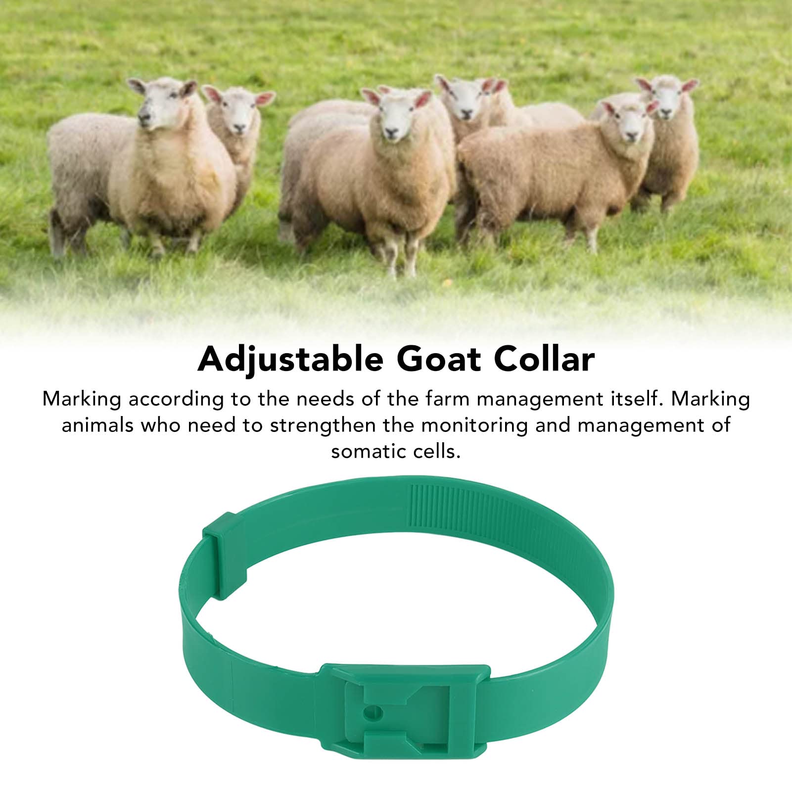Collier de Mouton, Collier de Bétail en PU Réglable Multifonctionnel Doux 10 Pièces pour l'isolement des Grappes (Vert)