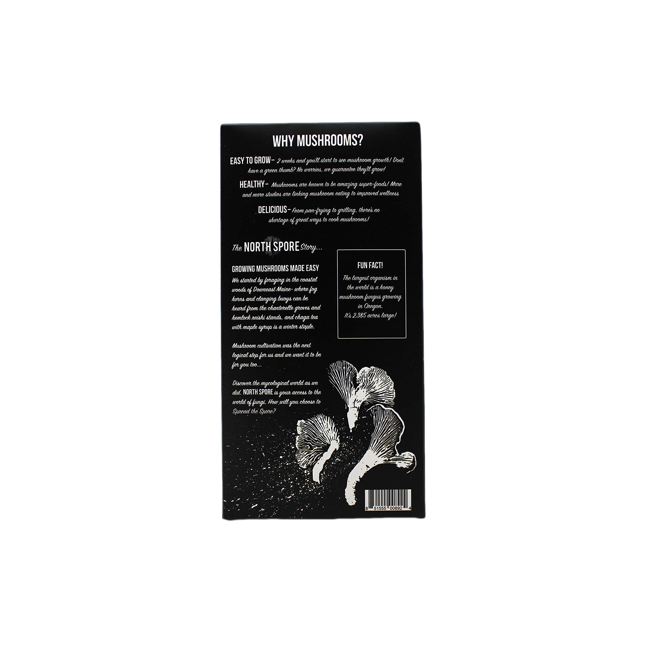 North Spore Lion's Mane Mushroom Spray & Grow Kit (4 lbs) Beginner