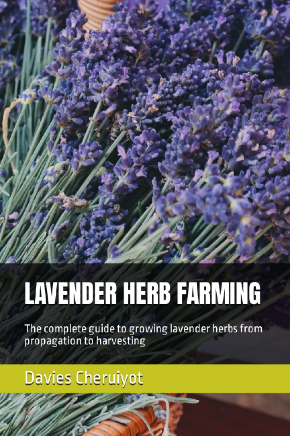 LAVENDER HERB FARMING: The complete guide to growing lavender herbs from propagation to harvesting