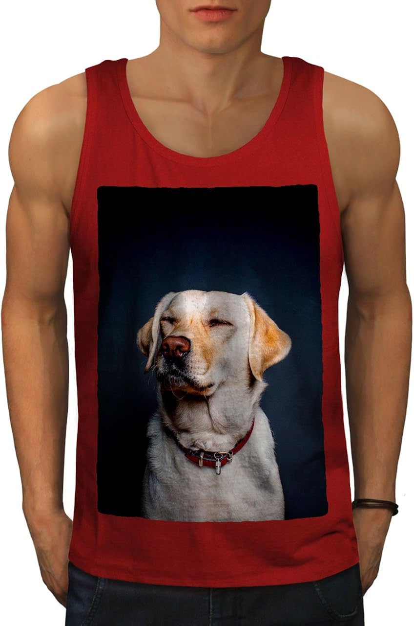 How To Make Labrador Active