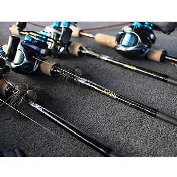 フェンウィック　エイシス　60ＣＬＪ　ベイトフィネススペシャル フェンウィック エイシス ACES60CLJ(B.F.S.) (お取り寄せ商品