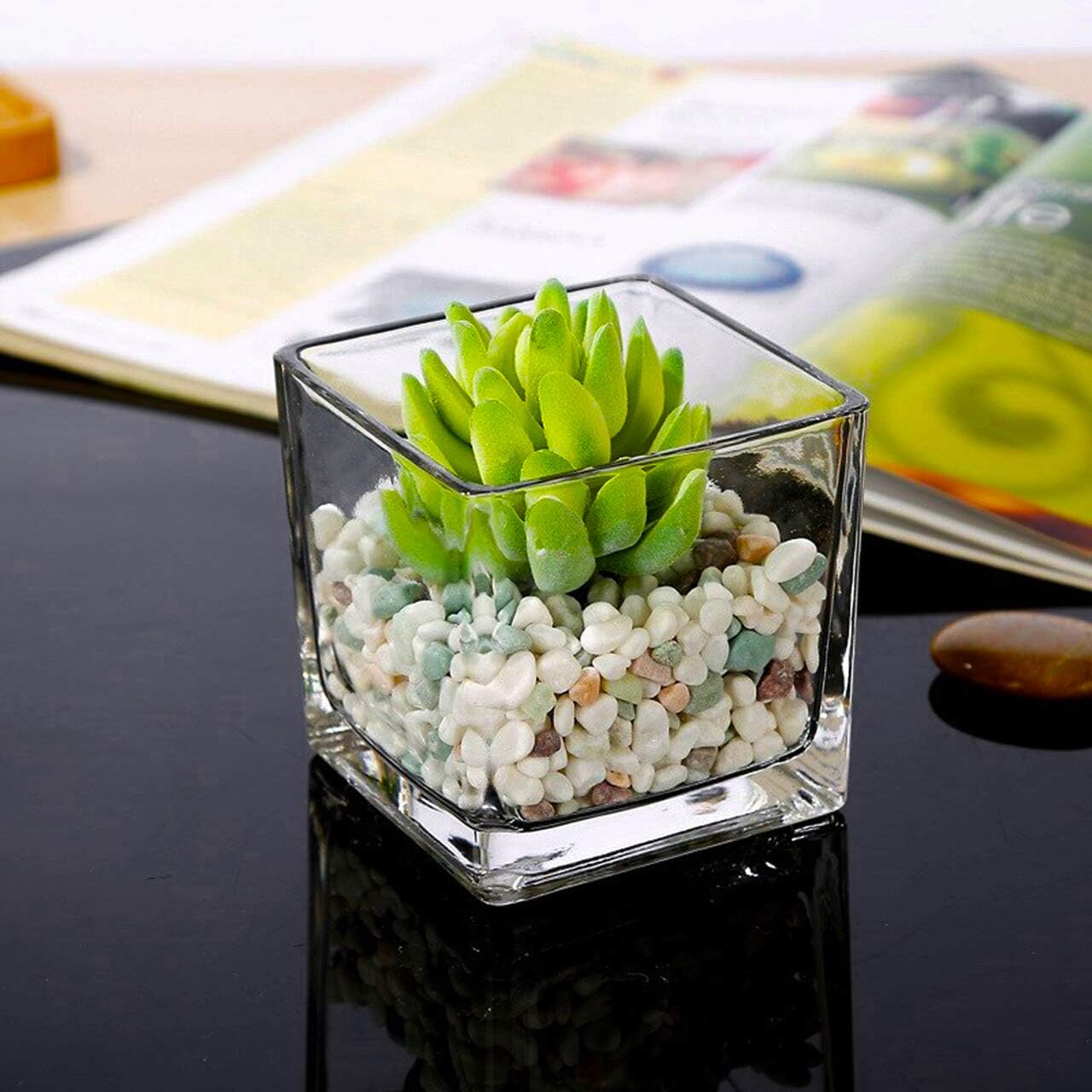 Square Glass Vases 2.5"x2.5" Clear Cube Flower Vase for Wedding Centerpiece Candle Holder Home Decor, Set of 8