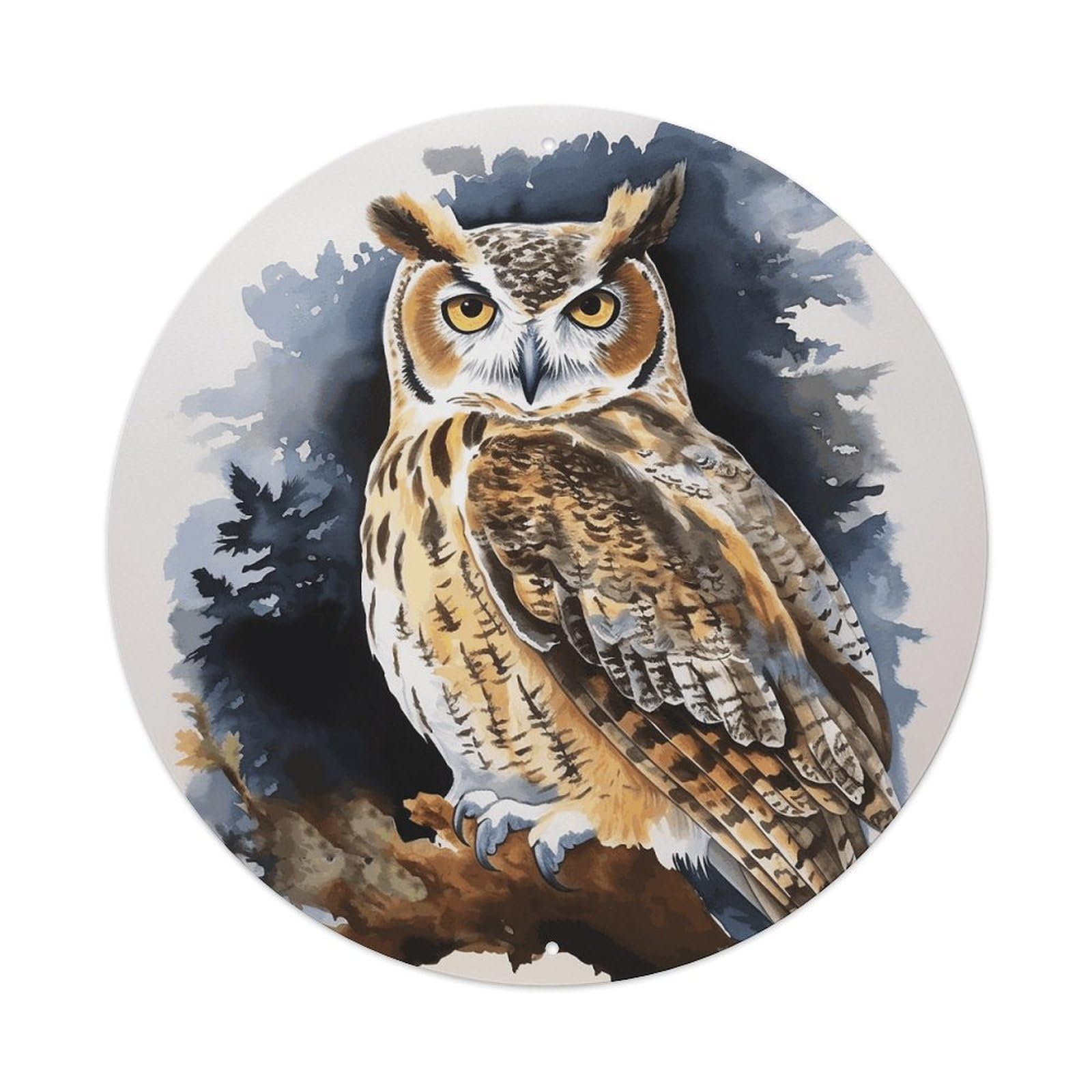 LZQPOEAS Owl2 Round Aluminum Wall Art Sign, Metal Indoor Wall Decor with Holes, Durable Circular Aluminum Plaque for Home, Bar, Cafe, Living Room, And Office Decoration