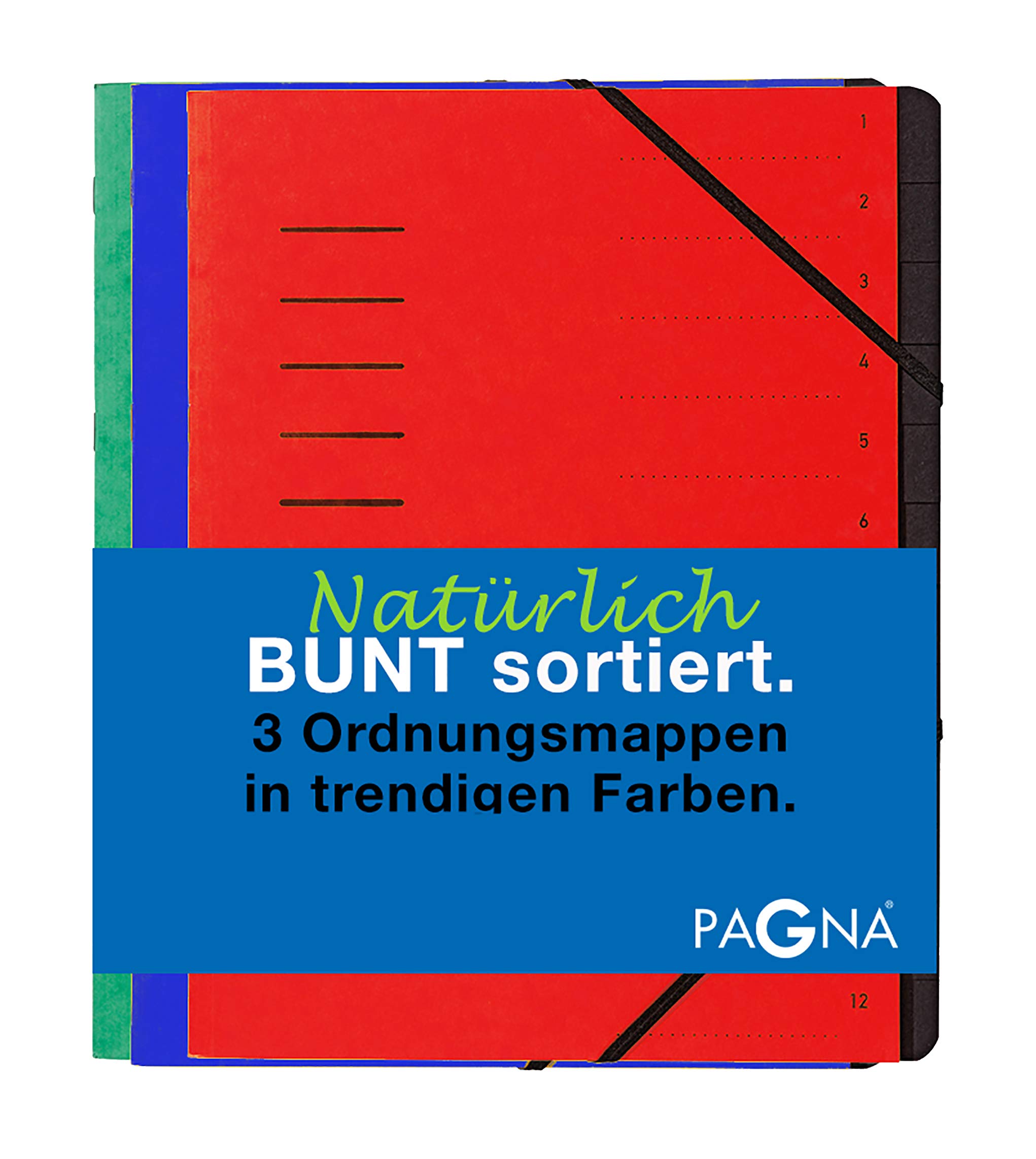 Pagna Organiser File Set 12 Compartments Basic Assorted Set of 3 Red Blue Green