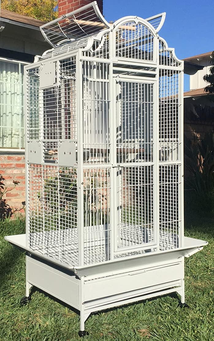 Large Elegant Wrought Iron Open Dome Play Top Bird Parrot Cage, Include Large Front Door and Small Pull Down Door, Metal Seed Guard, Solid Metal Feeders, Breeding Doors (WhiteVein)