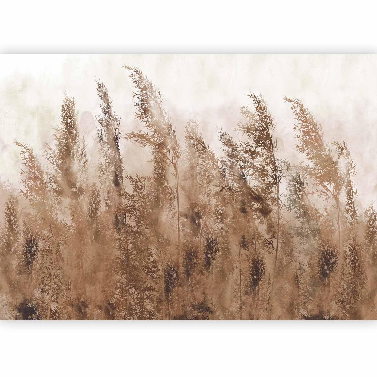 murando - Photo Wallpaper Pampas Grass 400x280 cm / 158"x110" Non-Woven Premium Art Print Fleece Wall Mural Decoration Poster Picture Design Modern - Nature Meadow Beige White b-A-0724-a-b โ image 1