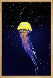 SIGNWIN Framed Canvas Wall Art Jellyfish Bedroom Colorful Jellyfish Marine Life Multicolor Neon Photography Tropical - 16"x24" Natural